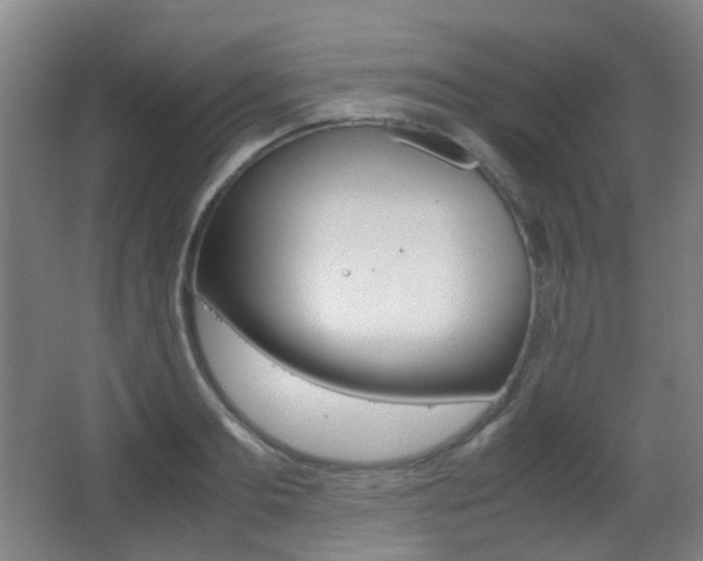 X0000062930893200601131111