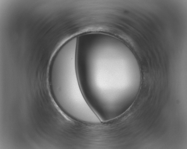 X0000062930894200601131111