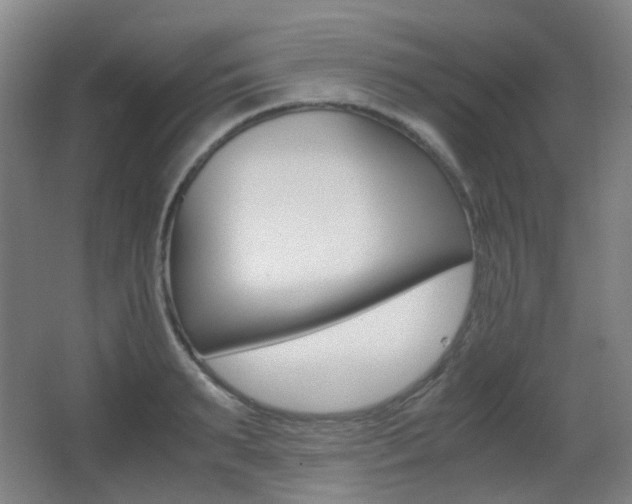 X0000062930895200601131111