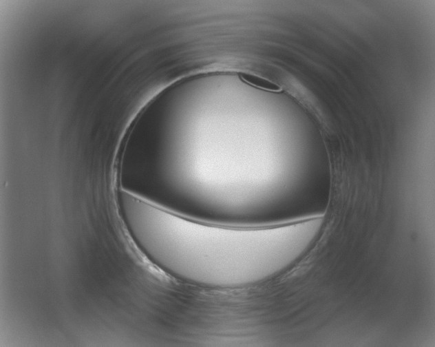 X0000062930900200601131111