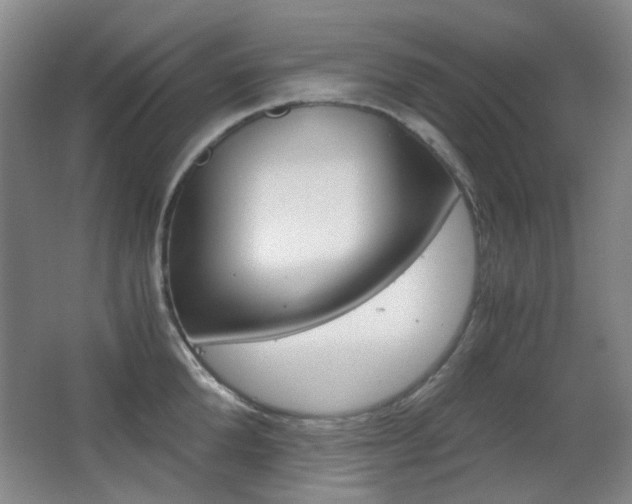 X0000062930904200601131111