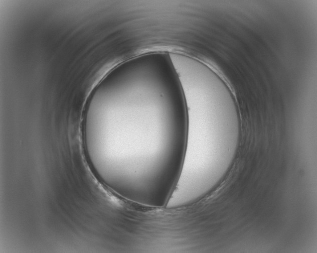 X0000062930906200601131111