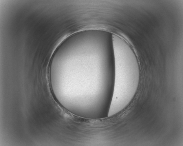 X0000062930907200601131111