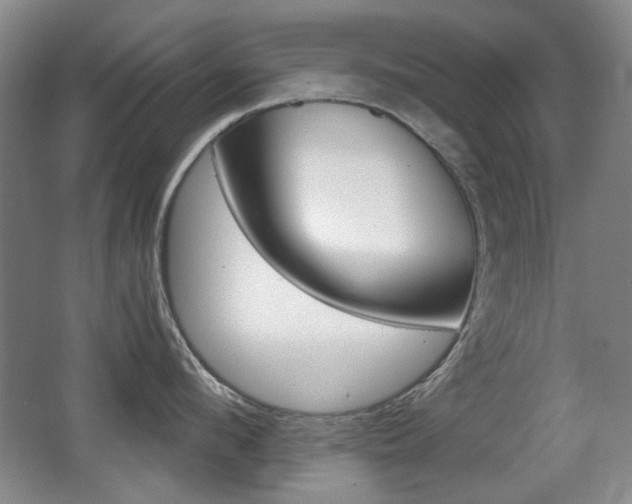 X0000062930912200601131111