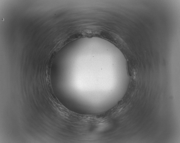 X0000062930915200601131110