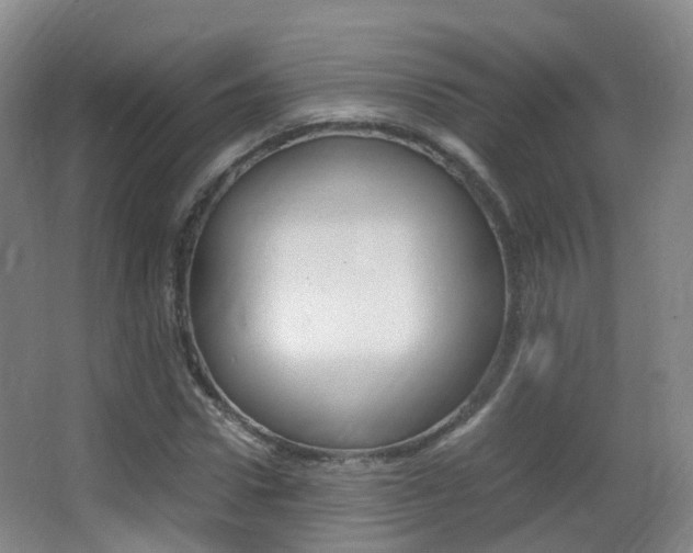 X0000062930922200601131110