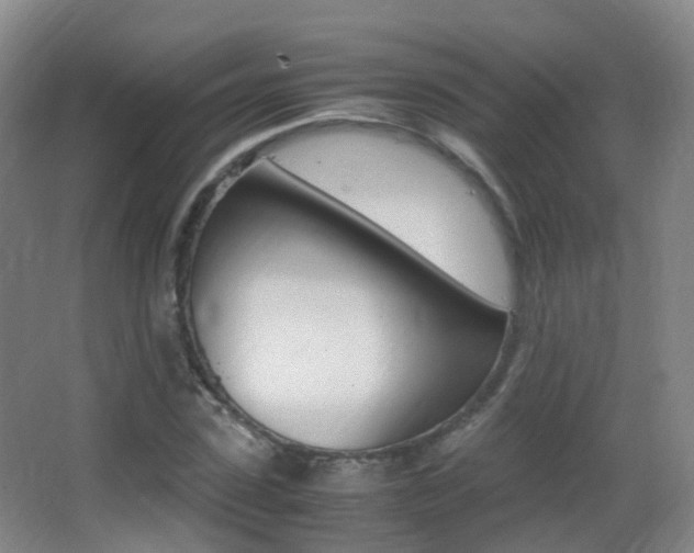 X0000062930923200601131110