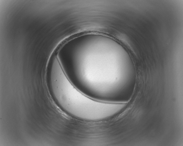 X0000062930924200601131110