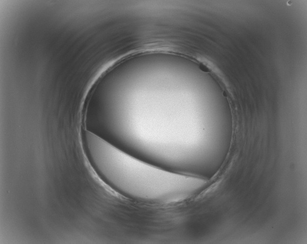 X0000062930941200601131110