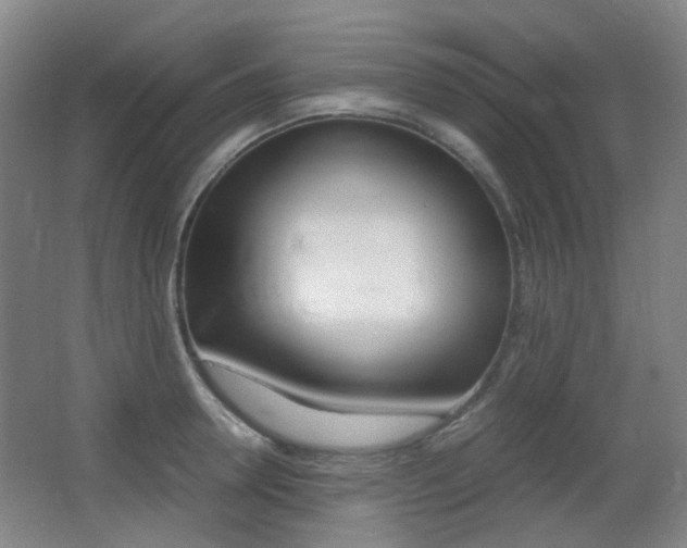 X0000062930946200601131110