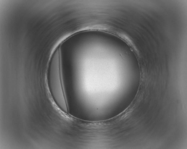 X0000062930952200601131110