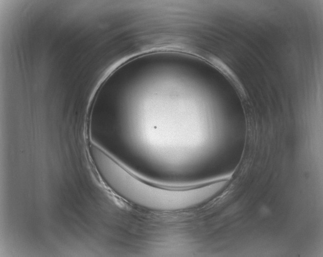 X0000062930956200601131111