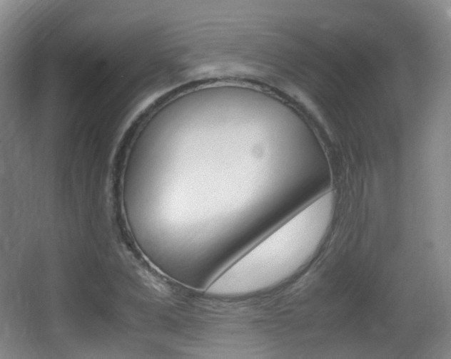 X0000062930975200601131109