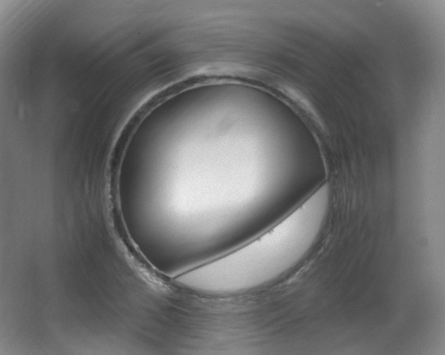 X0000062930976200601131109