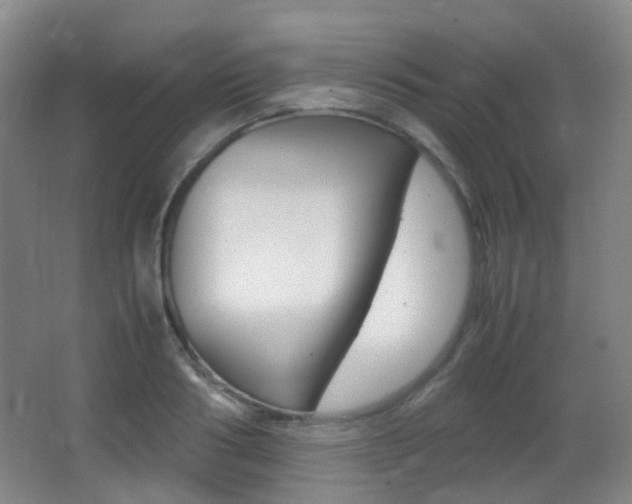 X0000062930986200601131109