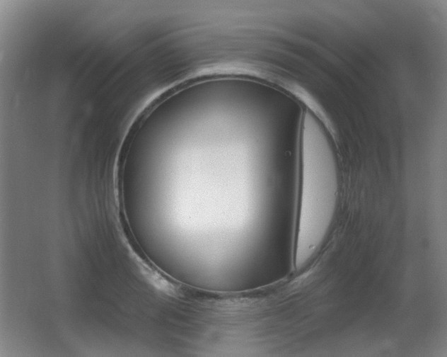 X0000062930988200601131109