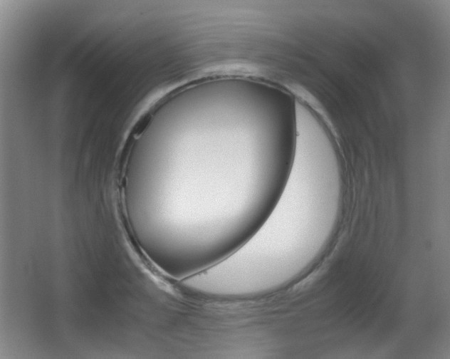 X0000062930989200601131109