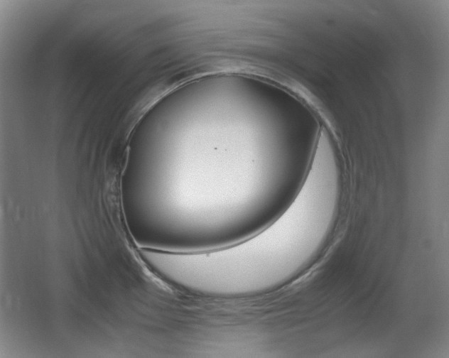X0000062931001200601131109
