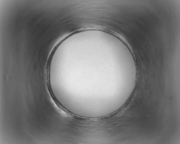 X0000062931003200601131109