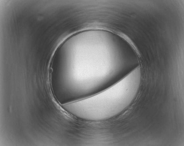 X0000062931004200601131109