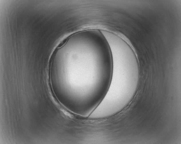 X0000062931005200601131109