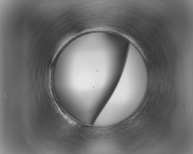 X0000062931006200601131109