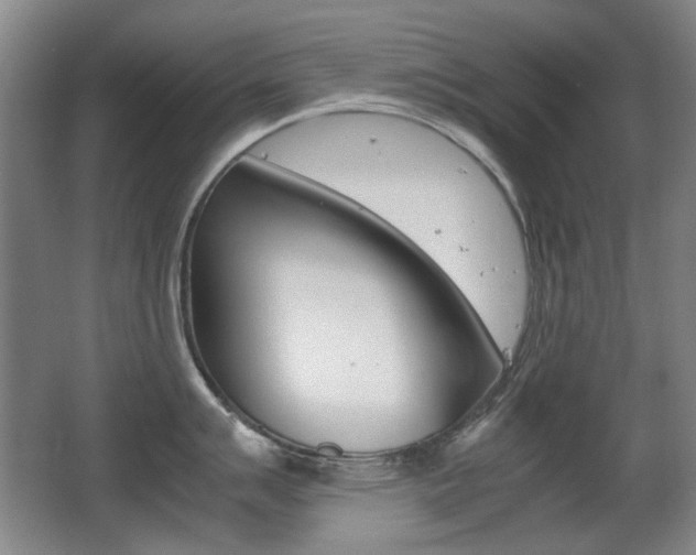 X0000062931007200601131109