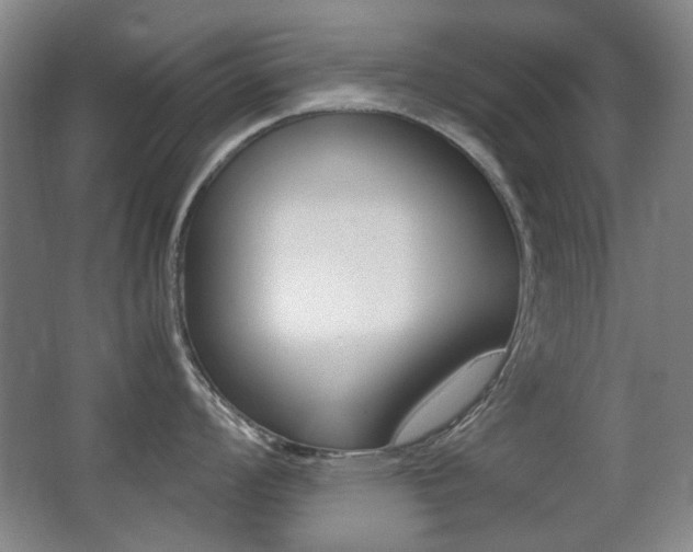 X0000062931008200601131109