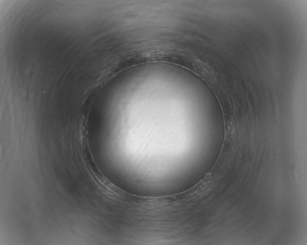 X0000062931012200601131108