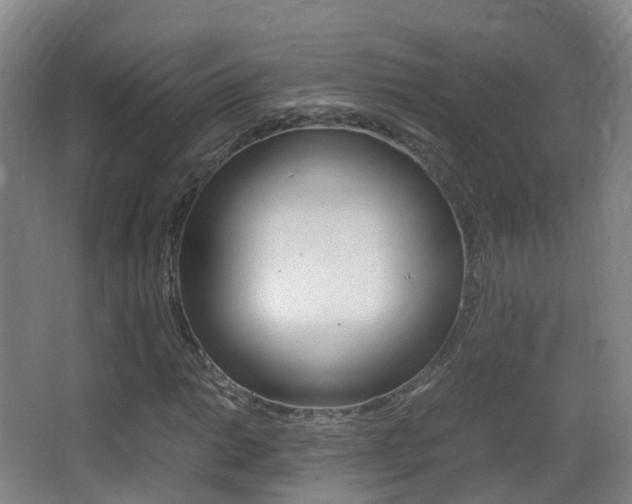 X0000062931014200601131108