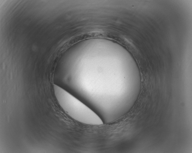 X0000062931015200601131108