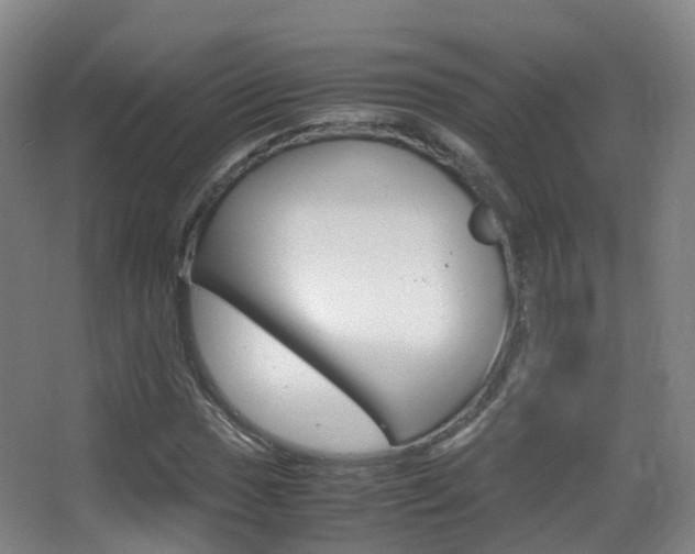 X0000062931017200601131108