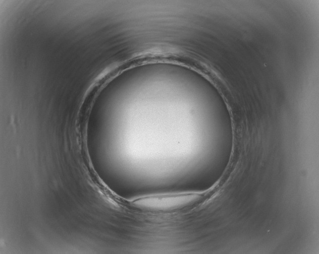 X0000062931018200601131108