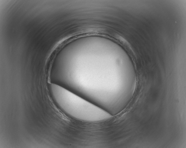 X0000062931019200601131108