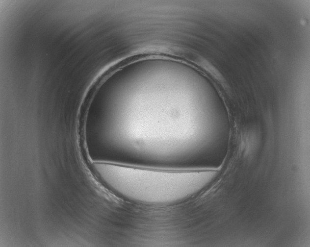 X0000062931020200601131108