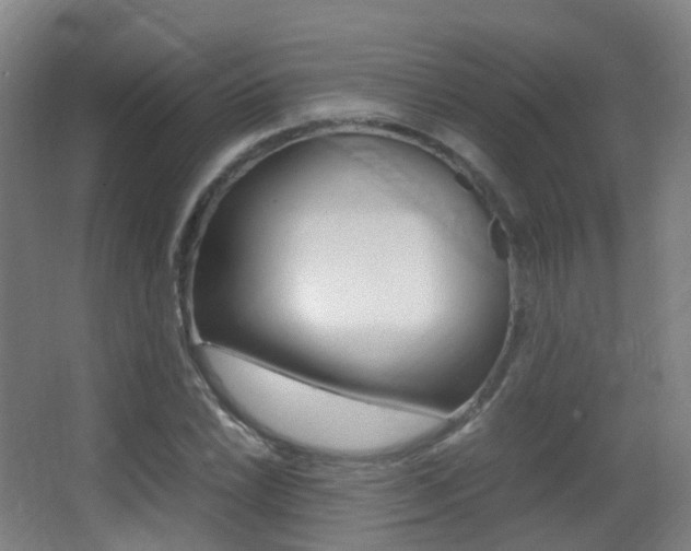 X0000062931022200601131108