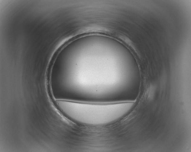 X0000062931024200601131108
