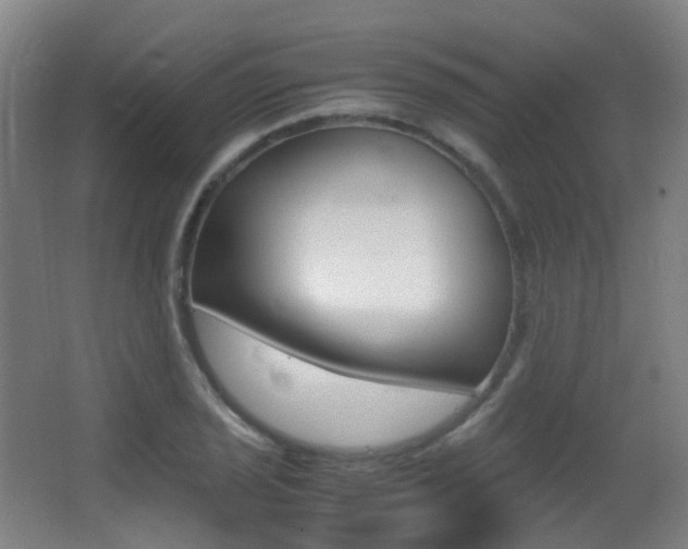 X0000062931029200601131108