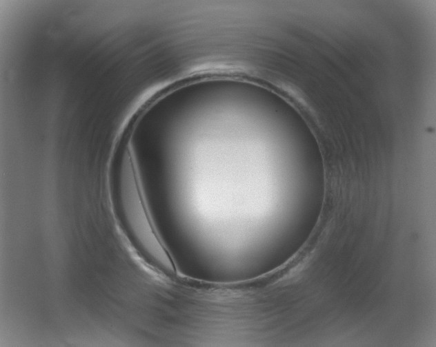 X0000062931030200601131108