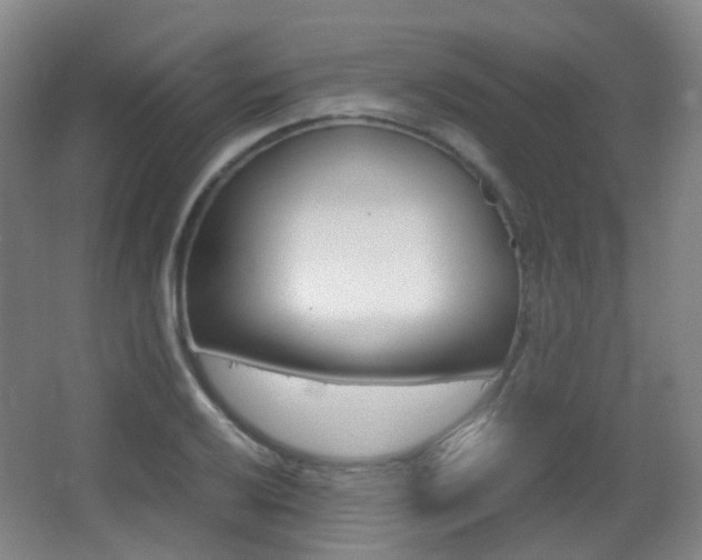 X0000062931032200601131109