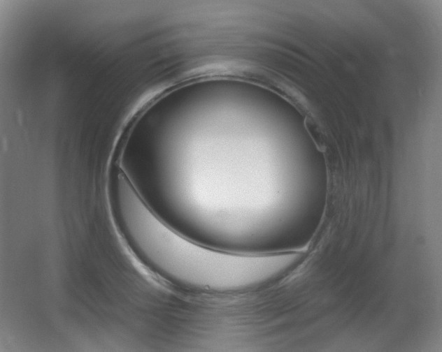 X0000062931034200601131109