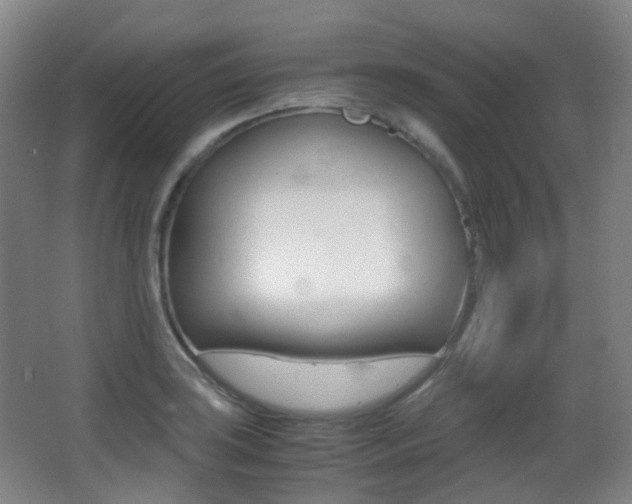 X0000062931035200601131109