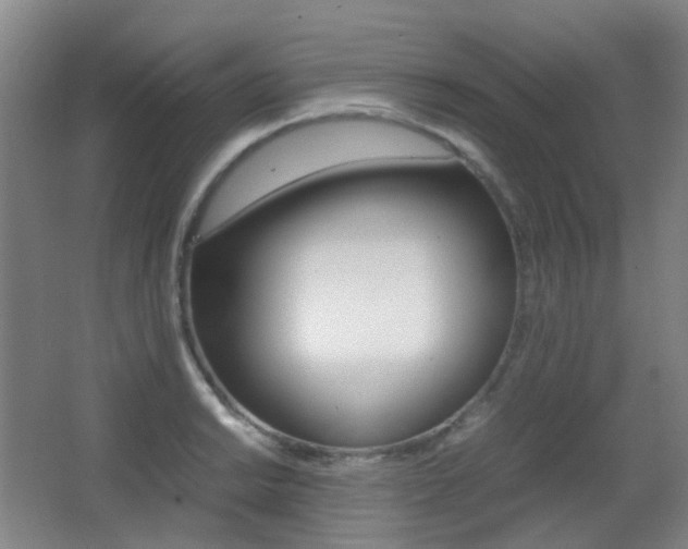 X0000062931038200601131109