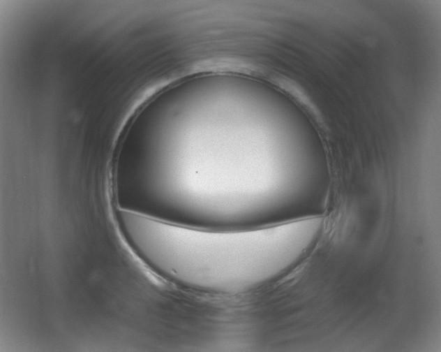 X0000062931040200601131109