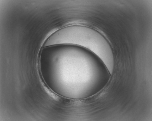 X0000062931042200601131109