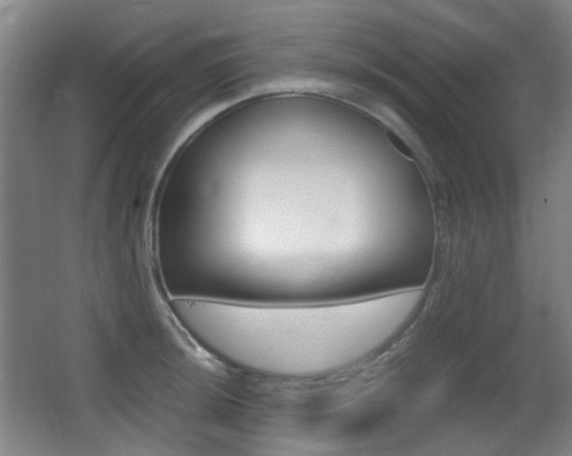 X0000062931044200601131109