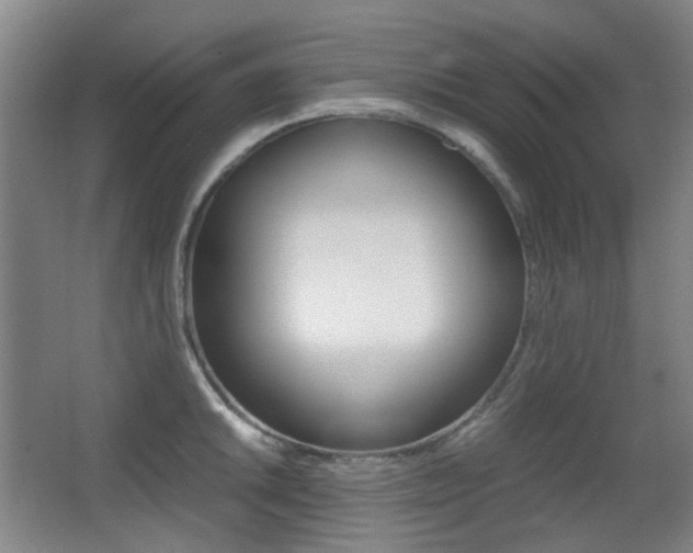 X0000062931046200601131109