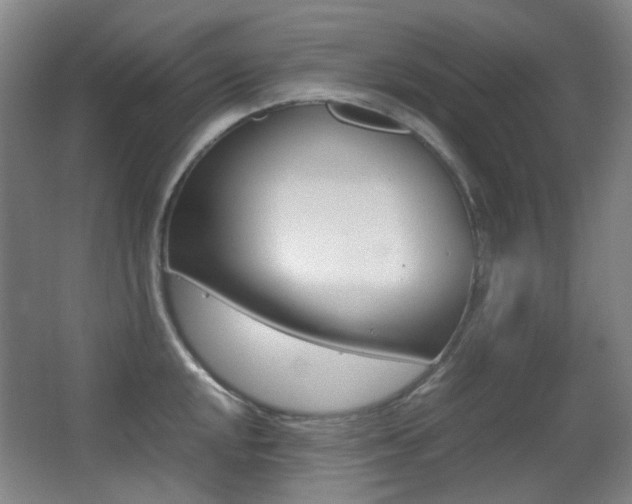 X0000062931048200601131109