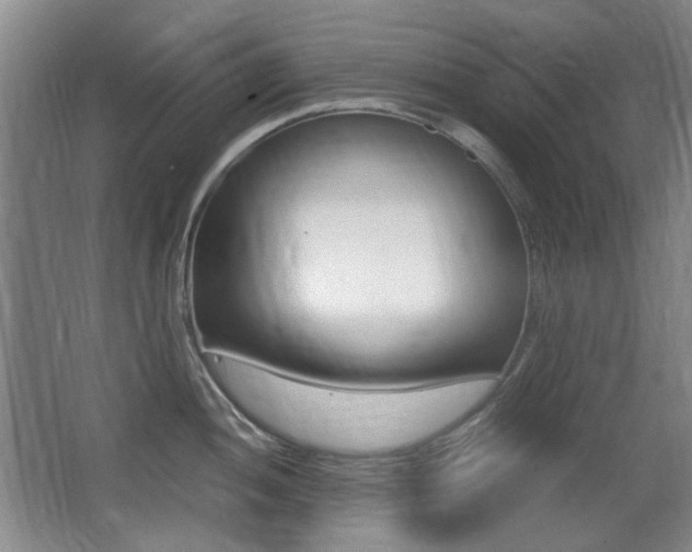 X0000062931052200601131109