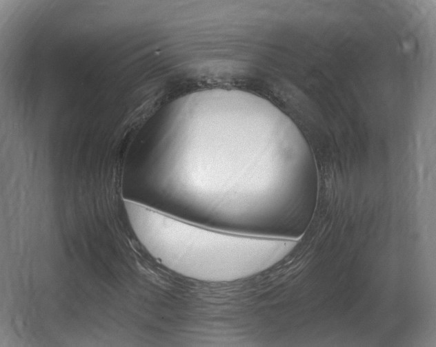 X0000062931060200601131108